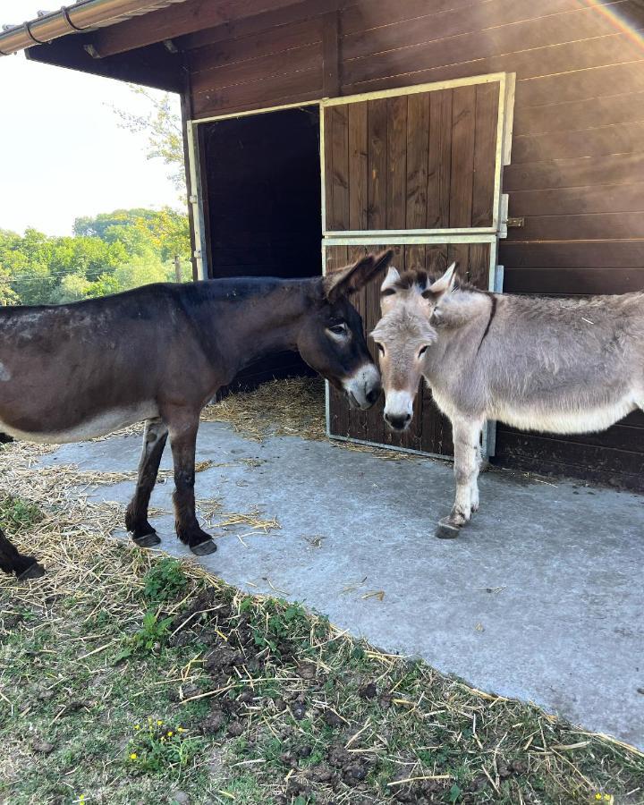 La Ferme Saint Pierre De Glabais Βίλα Genappe Εξωτερικό φωτογραφία